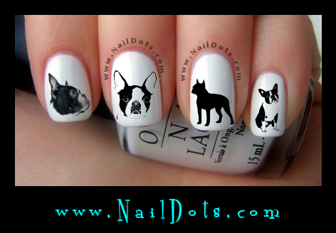 Boston Terrier Nail Decals