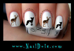 Chinese Crested Nail Decals